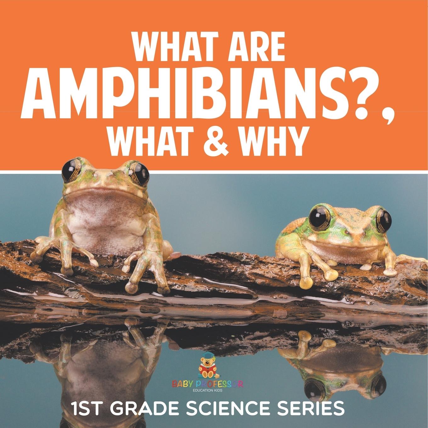 Knjiga What Are Amphibians?, What & Why Baby Professor