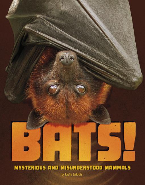 Kniha Bats! Lukidis
