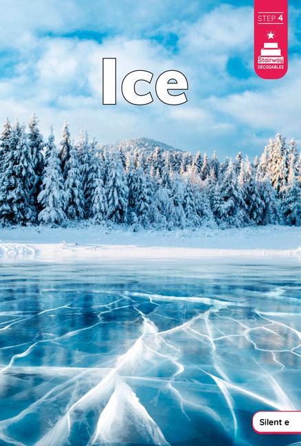 Kniha Ice Stickney