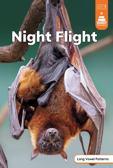 Knjiga Night Flight Richmond