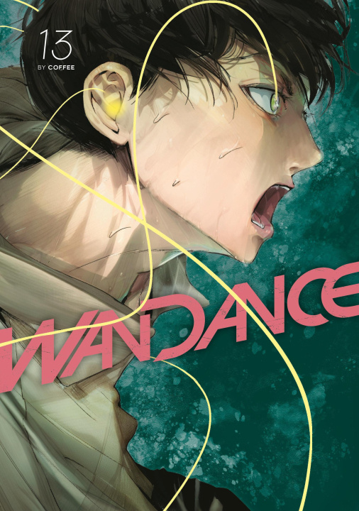 Книга Wandance 13 V13