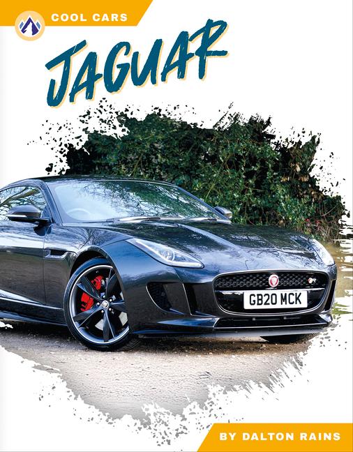 Kniha Jaguar Dalton Rains