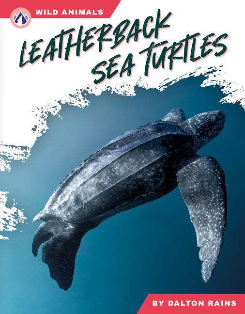 Kniha Leatherback Sea Turtles Dalton Rains