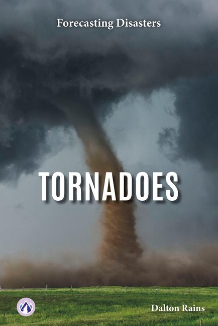 Kniha Tornadoes Dalton Rains