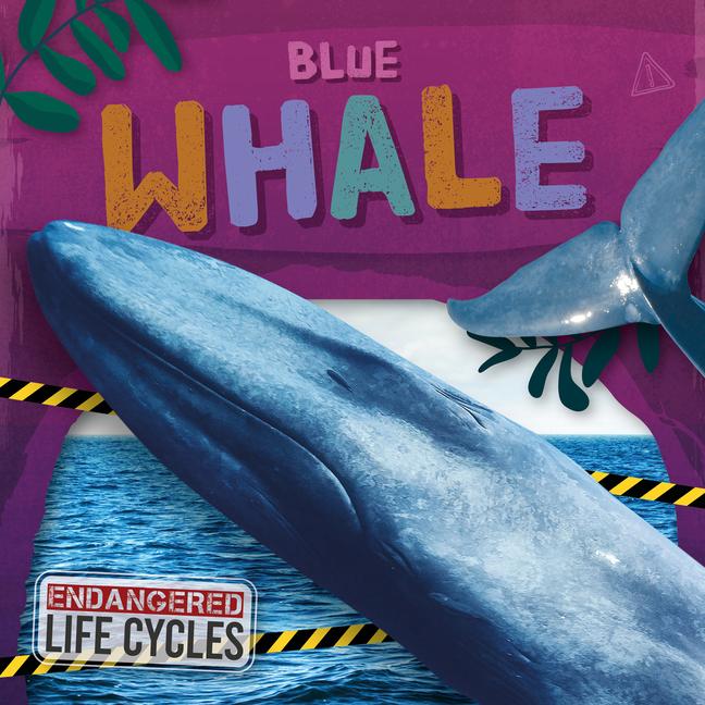 Knjiga Blue Whale E.C. Andrews