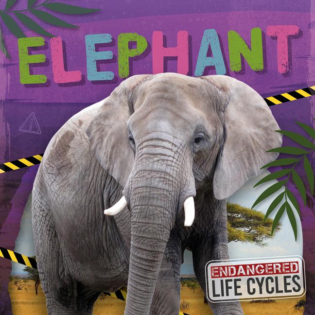 Knjiga Elephant E.C. Andrews