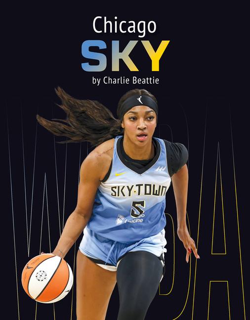 Kniha Chicago Sky Charlie Beattie