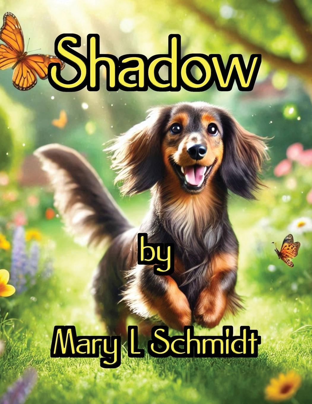 Kniha Shadow Michael Schmidt