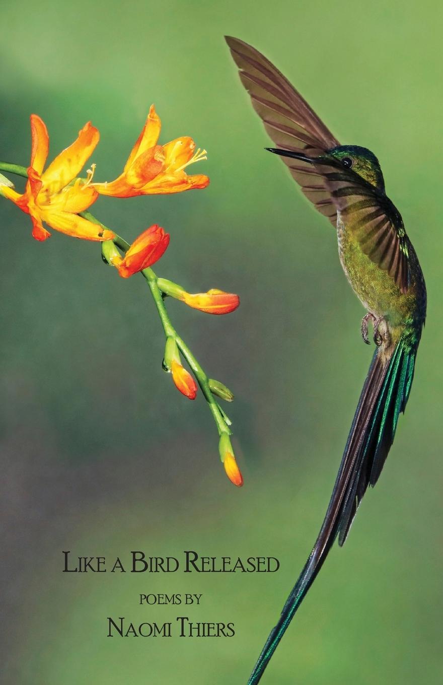 Kniha Like a Bird Released Naomi Thiers