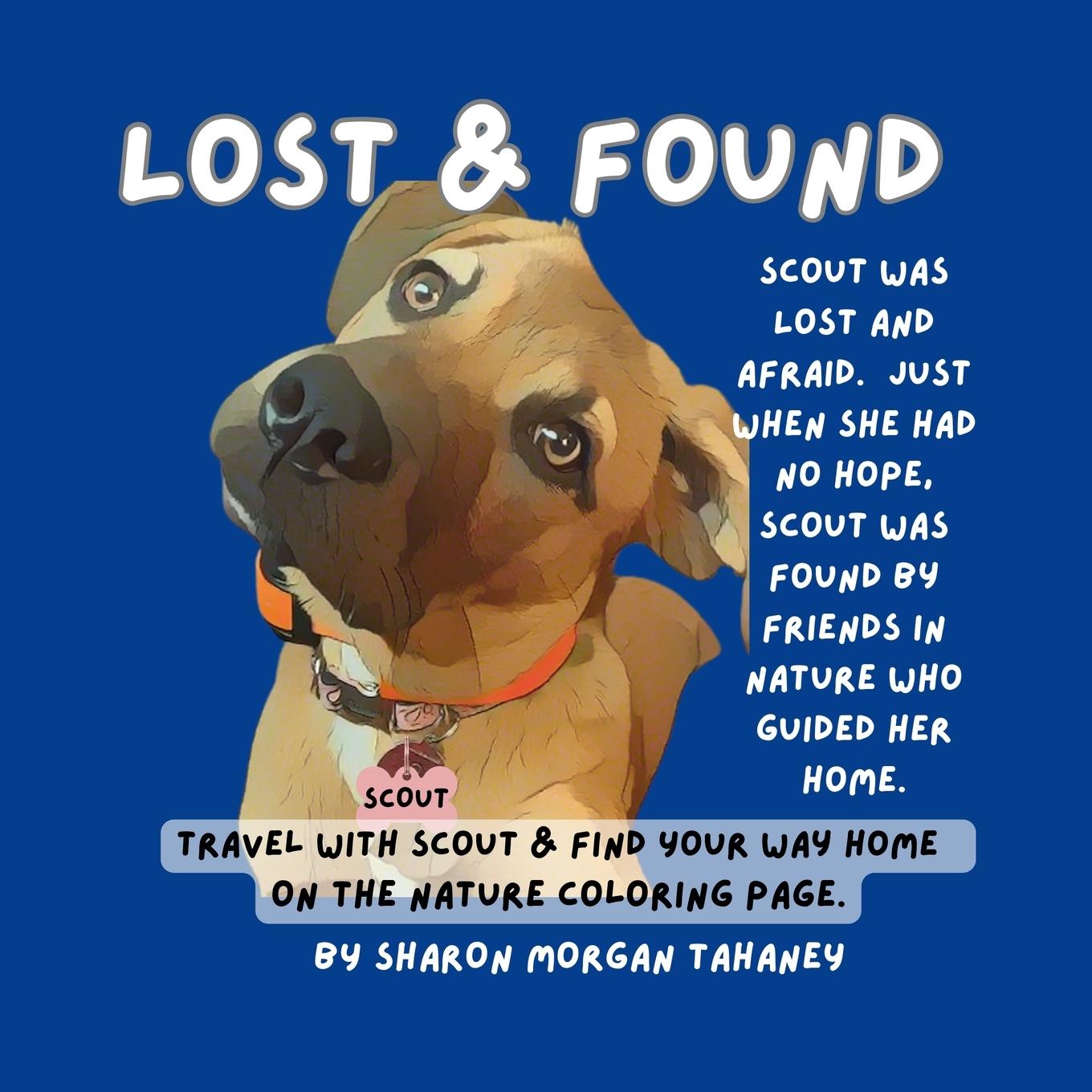 Kniha Lost & Found Sharon Morgan Tahaney
