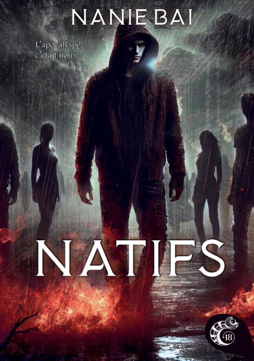 Kniha NATIFS BAI NANIE