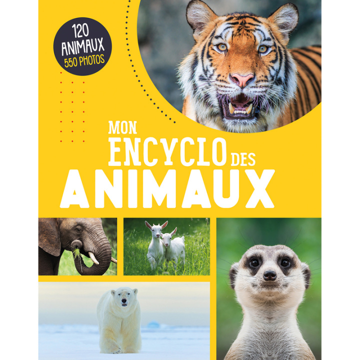 Kniha Mon encyclo des animaux Atelier Cloro