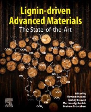 Kniha Lignin-driven Advanced Materials Meysam Madadi
