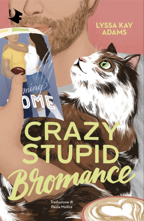 Boek Crazy stupid bromance Lyssa Kay Adams