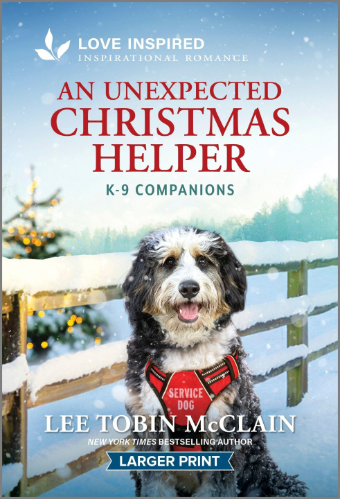 Knjiga An Unexpected Christmas Helper 