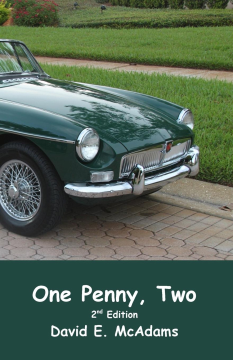 Kniha One Penny, Two David E. McAdams