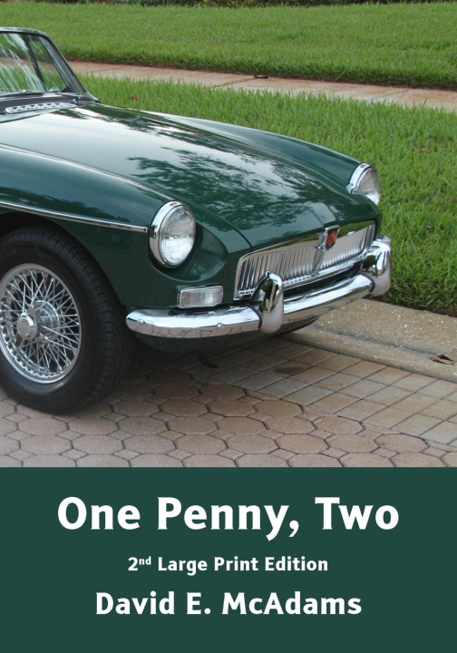 Kniha One Penny, Two David E. McAdams