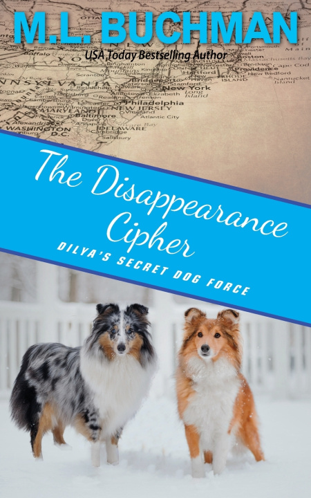 Kniha The Disappearance Cipher M. L. Buchman
