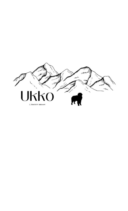 Kniha Ukko C Faherty Brown