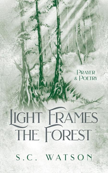 Kniha Light Frames the Forest S. C. Watson