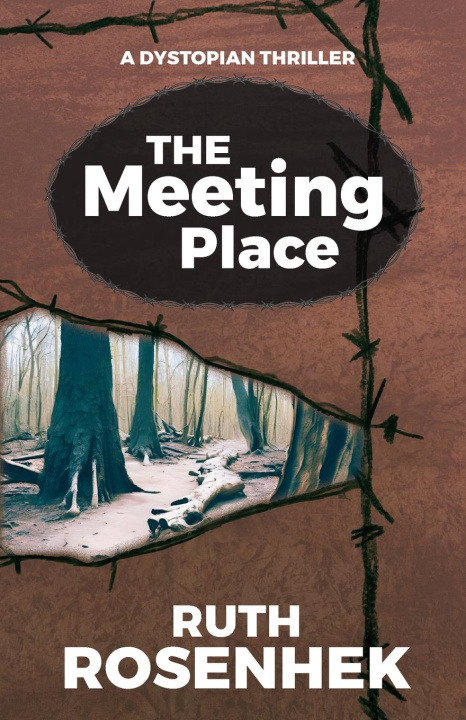 Knjiga The Meeting Place Ruth Rosenhek