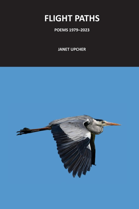 Kniha Flight Paths Janet Upcher