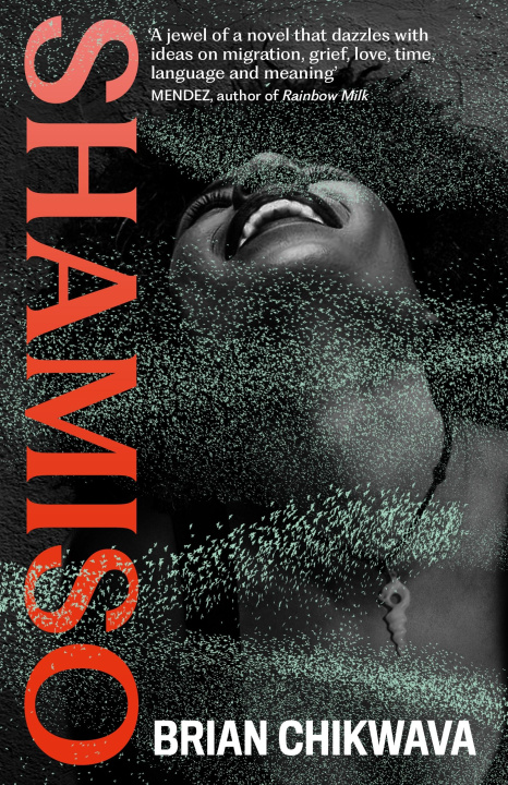 Boek Shamiso Brian Chikwava