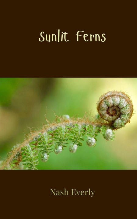 Книга Sunlit Ferns Nash Everly