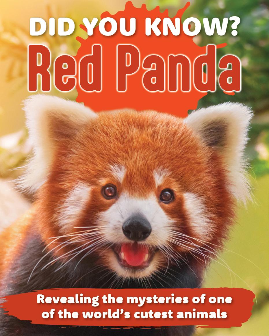 Kniha Did You Know? Red Panda TBD