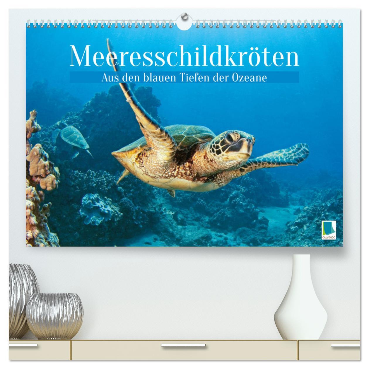 Kalendář/Diář Meeresschildkröten: Aus den blauen Tiefen der Ozeane (hochwertiger Premium Wandkalender 2026 DIN A2 quer), Kunstdruck in Hochglanz Calvendo