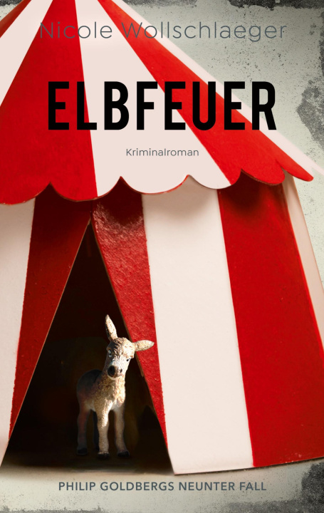 Kniha Elbfeuer Nicole Wollschlaeger