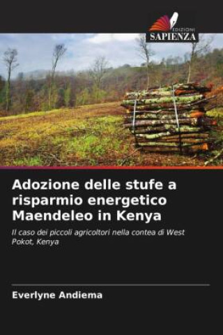 Книга Adozione delle stufe a risparmio energetico Maendeleo in Kenya Everlyne Andiema