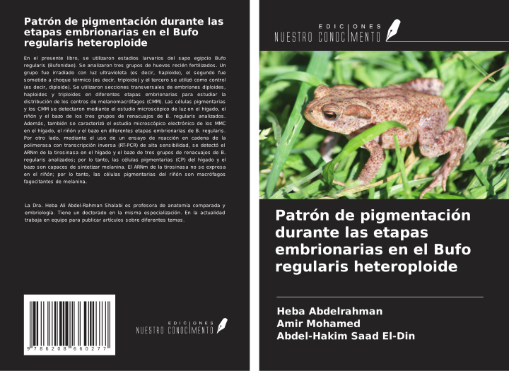 Kniha Patrón de pigmentación durante las etapas embrionarias en el Bufo regularis heteroploide Amir Mohamed