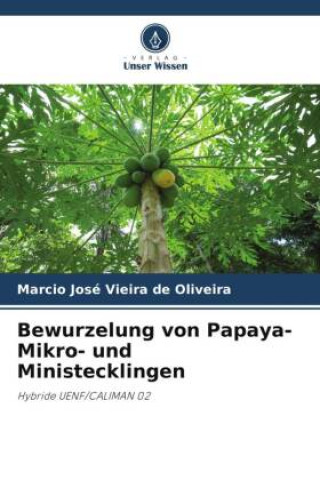 Libro Bewurzelung von Papaya-Mikro- und Ministecklingen Marcio José Vieira de Oliveira