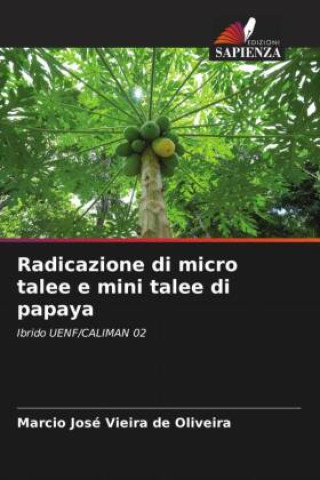 Libro Radicazione di micro talee e mini talee di papaya Marcio José Vieira de Oliveira