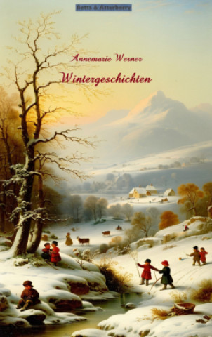 Kniha Wintergeschichten Annemarie Werner