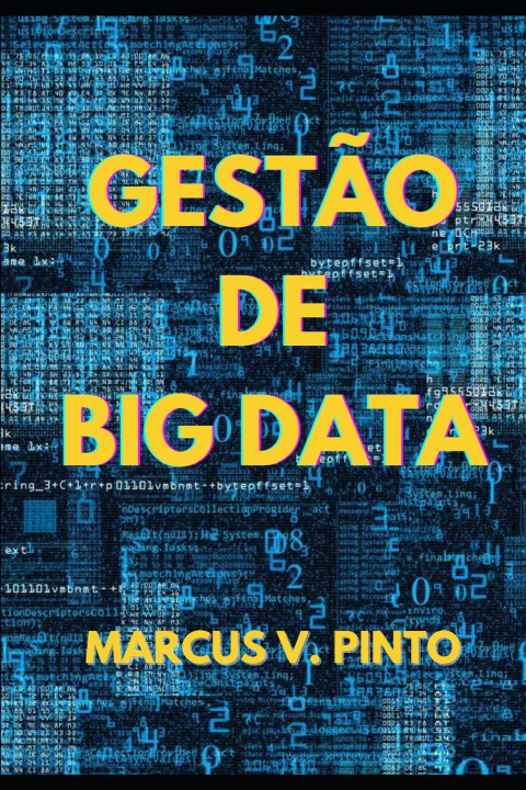 Buch Gest?o de Big Data MARCUS VINICIUS PINTO
