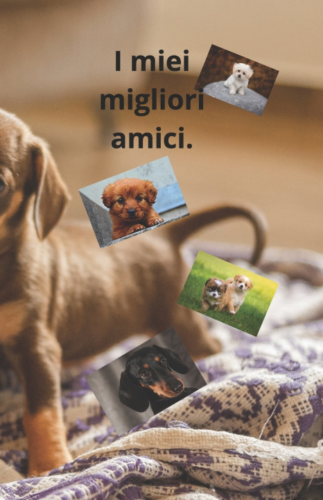 Buch I miei migliori amici. Davide Andrea Mezzo