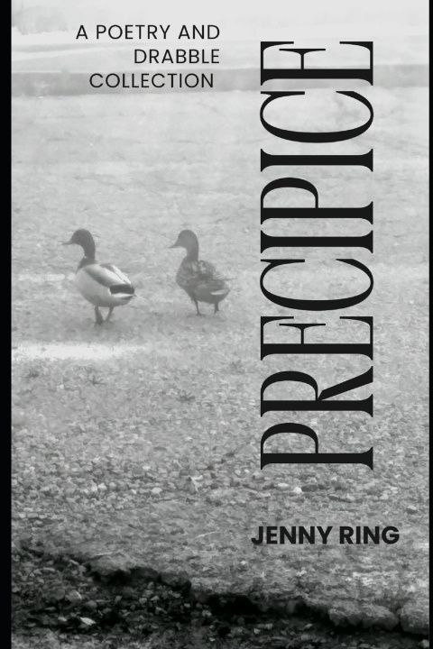 Книга Precipice Jenny Ring