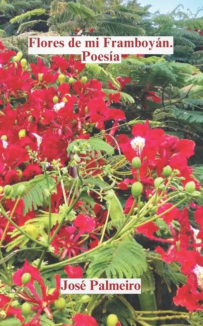 Kniha Flores de mi Framboyán José Palmeiro