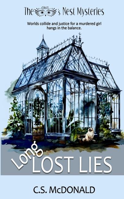 Kniha Long Lost Lies C.S. McDonald