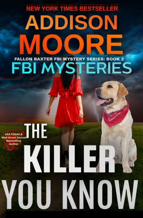 Kniha The Killer You Know Addison Moore