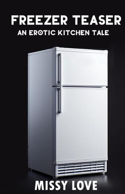Kniha Freezer Teaser Missy Love
