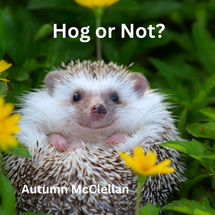 Boek Hog or Not? Autumn McClellan