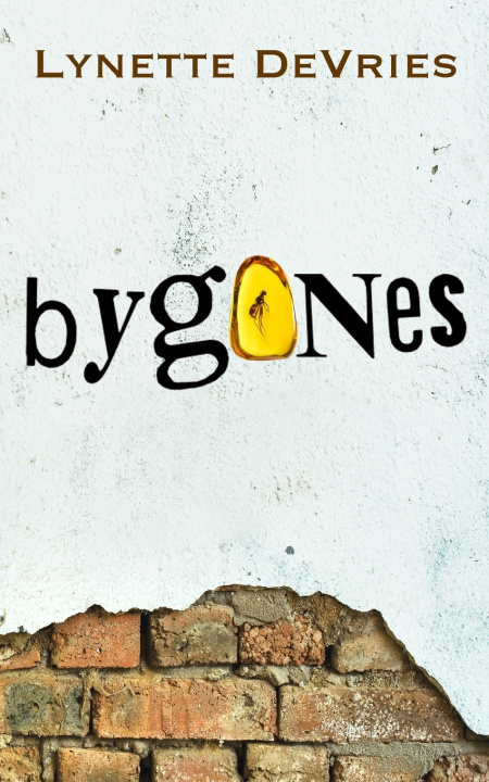 Kniha Bygones Lynette DeVries