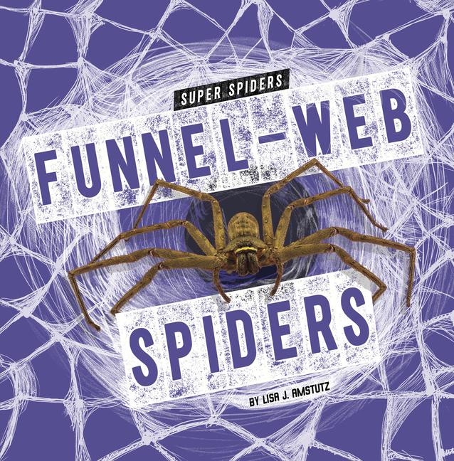 Kniha Funnel-Web Spiders Amstutz