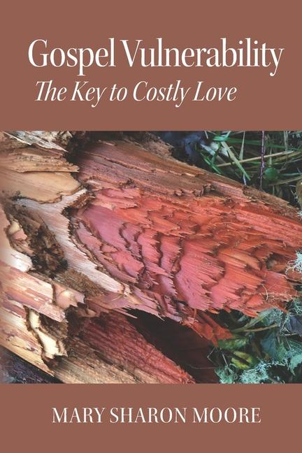 Kniha Gospel Vulnerability Mary Sharon Moore