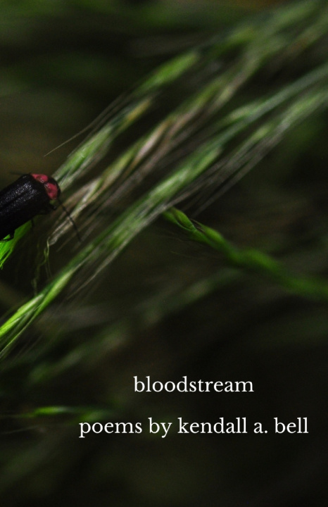 Kniha bloodstream Kendall A. Bell
