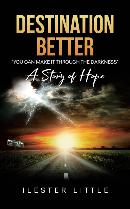 Kniha Destination Better Ilester Little