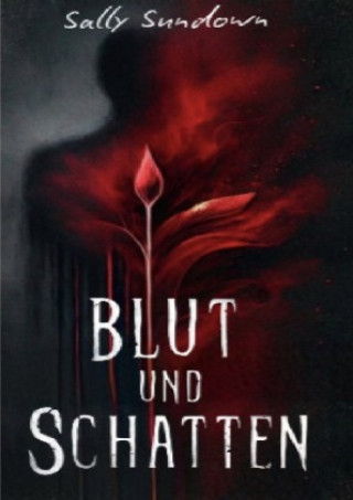 Kniha Blut und Schatten Sally Sundown